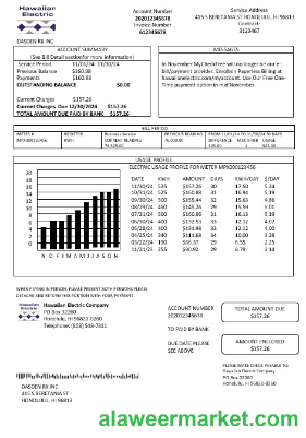 USA Hawaiian Electric business utility bill template in Word and PDF formats